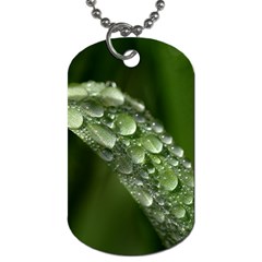 Grass Drops Dog Tag (one Sided) by Siebenhuehner