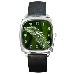 Grass Drops Square Leather Watch by Siebenhuehner