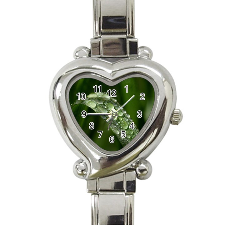 Grass Drops Heart Italian Charm Watch 