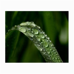 Grass Drops Glasses Cloth (small, Two Sided) by Siebenhuehner