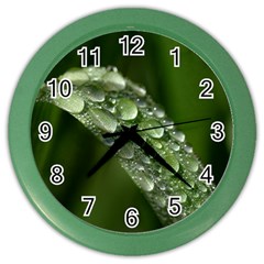 Grass Drops Wall Clock (color) by Siebenhuehner