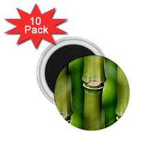 Bamboo 1 75  Button Magnet (10 Pack) by Siebenhuehner