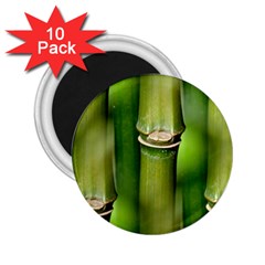 Bamboo 2 25  Button Magnet (10 Pack) by Siebenhuehner