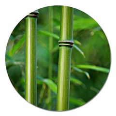 Bamboo Magnet 5  (round)