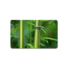 Bamboo Magnet (name Card) by Siebenhuehner