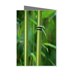 Bamboo Mini Greeting Card (8 Pack) by Siebenhuehner