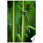 Bamboo Canvas 12  x 18  (Unframed) 11.88 x17.36  Canvas - 1