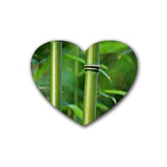 Bamboo Drink Coasters (heart) by Siebenhuehner