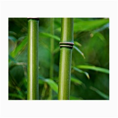 Bamboo Glasses Cloth (small, Two Sided) by Siebenhuehner