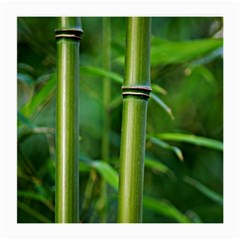 Bamboo Glasses Cloth (medium, Two Sided) by Siebenhuehner