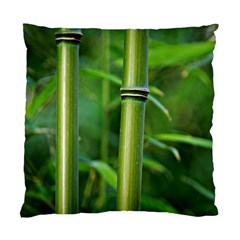 Bamboo Cushion Case (two Sided) 