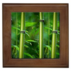 Bamboo Framed Ceramic Tile by Siebenhuehner