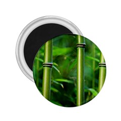 Bamboo 2 25  Button Magnet by Siebenhuehner