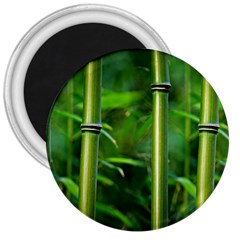 Bamboo 3  Button Magnet by Siebenhuehner