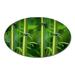 Bamboo Magnet (oval) by Siebenhuehner