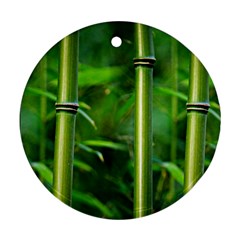 Bamboo Round Ornament (two Sides) by Siebenhuehner