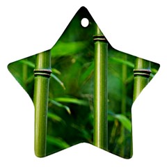 Bamboo Star Ornament (two Sides) by Siebenhuehner