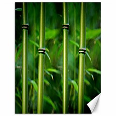 Bamboo Canvas 12  X 16  (unframed) by Siebenhuehner