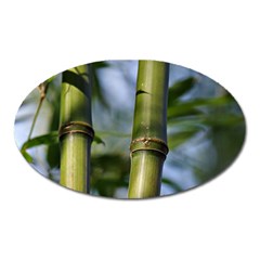 Bamboo Magnet (oval) by Siebenhuehner