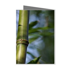 Bamboo Mini Greeting Card (8 Pack) by Siebenhuehner