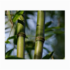 Bamboo Glasses Cloth (small) by Siebenhuehner