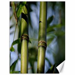 Bamboo Canvas 18  X 24  (unframed) by Siebenhuehner