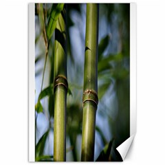 Bamboo Canvas 20  X 30  (unframed) by Siebenhuehner