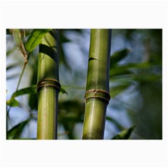 Bamboo Glasses Cloth (large) by Siebenhuehner