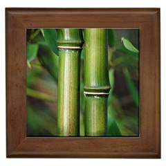 Bamboo Framed Ceramic Tile by Siebenhuehner