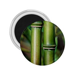 Bamboo 2 25  Button Magnet by Siebenhuehner