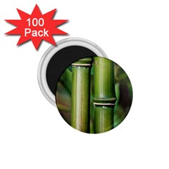 Bamboo 1 75  Button Magnet (100 Pack) by Siebenhuehner