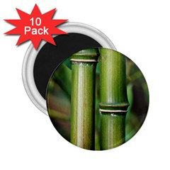 Bamboo 2 25  Button Magnet (10 Pack) by Siebenhuehner