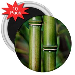 Bamboo 3  Button Magnet (10 Pack) by Siebenhuehner