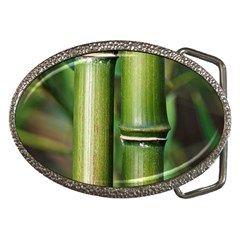 Bamboo Belt Buckle (oval) by Siebenhuehner