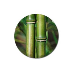 Bamboo Magnet 3  (round) by Siebenhuehner