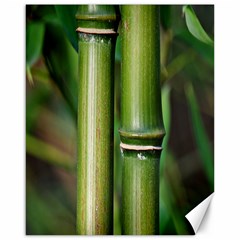 Bamboo Canvas 16  X 20  (unframed) by Siebenhuehner