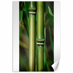 Bamboo Canvas 24  X 36  (unframed) by Siebenhuehner