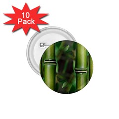 Bamboo 1 75  Button (10 Pack) by Siebenhuehner