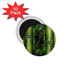 Bamboo 1 75  Button Magnet (10 Pack) by Siebenhuehner