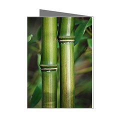 Bamboo Mini Greeting Card (8 Pack) by Siebenhuehner