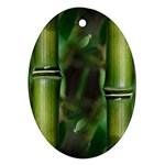 Bamboo Oval Ornament (Two Sides) Back