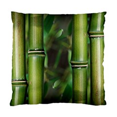 Bamboo Cushion Case (single Sided)  by Siebenhuehner