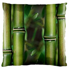 Bamboo Large Cushion Case (single Sided)  by Siebenhuehner