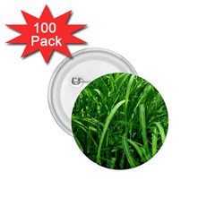 Grass 1 75  Button (100 Pack) by Siebenhuehner