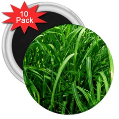 Grass 3  Button Magnet (10 Pack) by Siebenhuehner