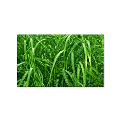 Grass Sticker 100 Pack (rectangle) by Siebenhuehner