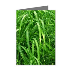 Grass Mini Greeting Card by Siebenhuehner