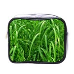 Grass Mini Travel Toiletry Bag (One Side) Front