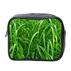 Grass Mini Travel Toiletry Bag (two Sides) by Siebenhuehner