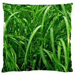 Grass Large Cushion Case (two Sided)  by Siebenhuehner